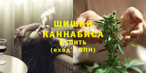 Альфа ПВП Богородск