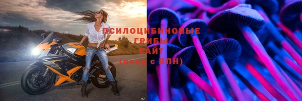 Альфа ПВП Богородск