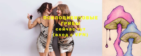 соль курить ск Богданович