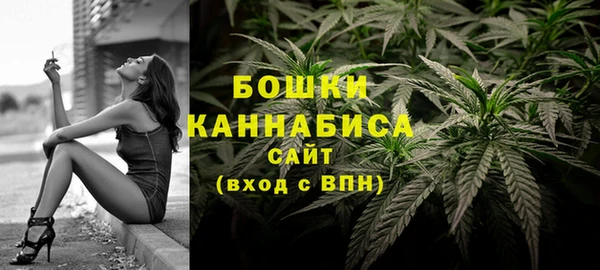 Альфа ПВП Богородск