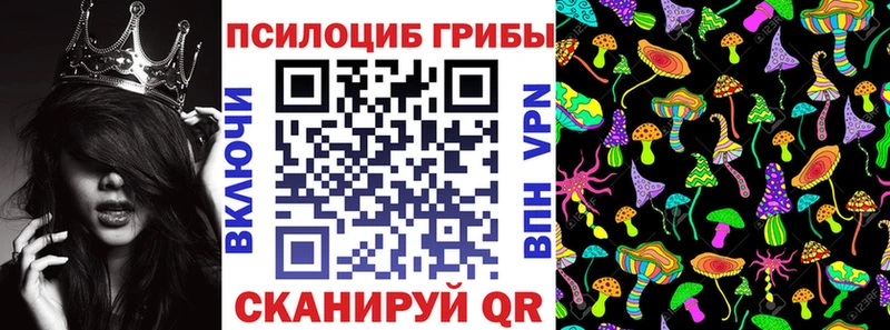 Купить где  Дедовск  Галлюциногенные грибы Psilocybine cubensis 